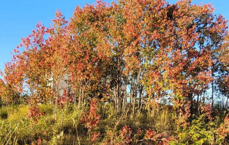 L'Éveil Campagnard de septembre est maintenant disponible
