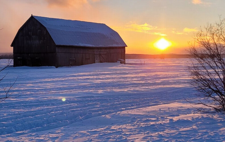 L'Éveil Campagnard de février 2026 est maintenant disponible.