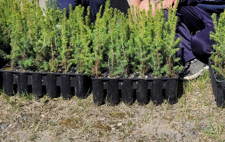 Journée environnement